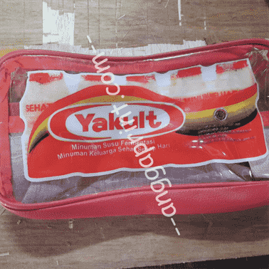 Custom Clear PVC Bag Printing Service: Premium Mika, Precise Prints (3)