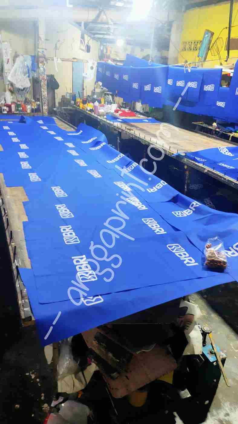 Custom Spunbond Printing Service, Eco-Friendly Promotional Bags, Precise Prints (3)